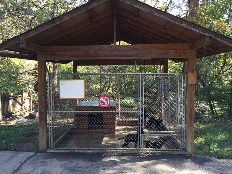 Covered outdoor kennel with roof at LabPups boarding