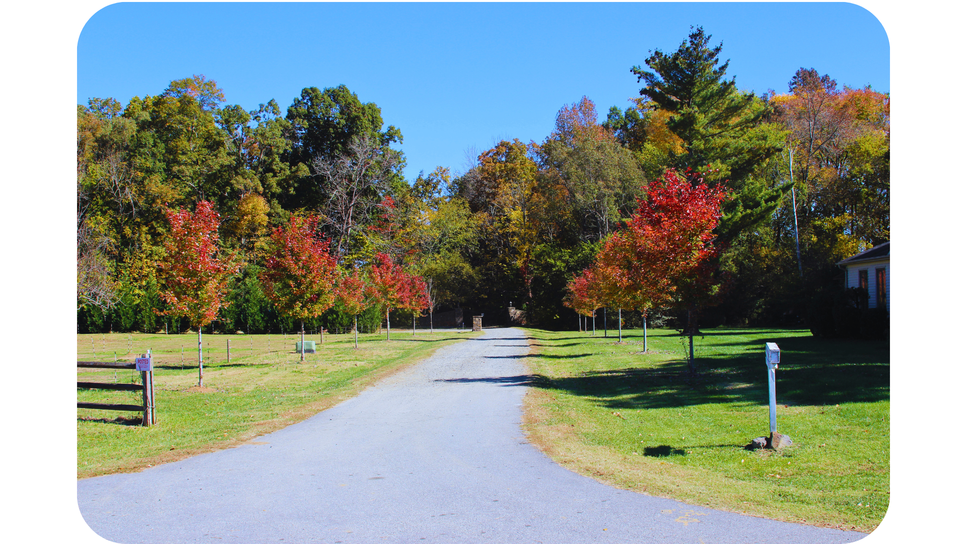 LabPups.com property entrance with tree-lined driveway in Charlotte NC