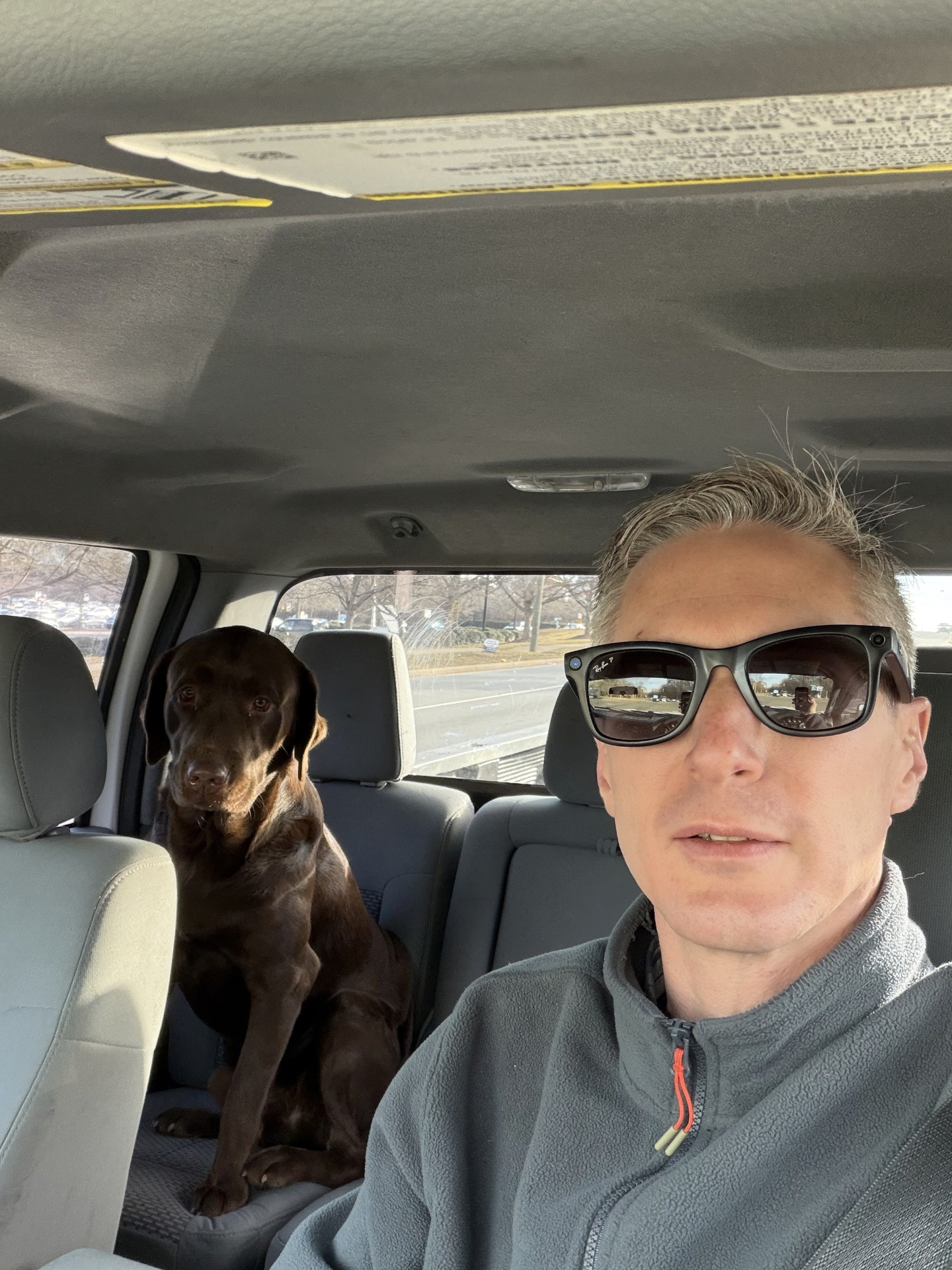 Tripper and Moose on a car ride
